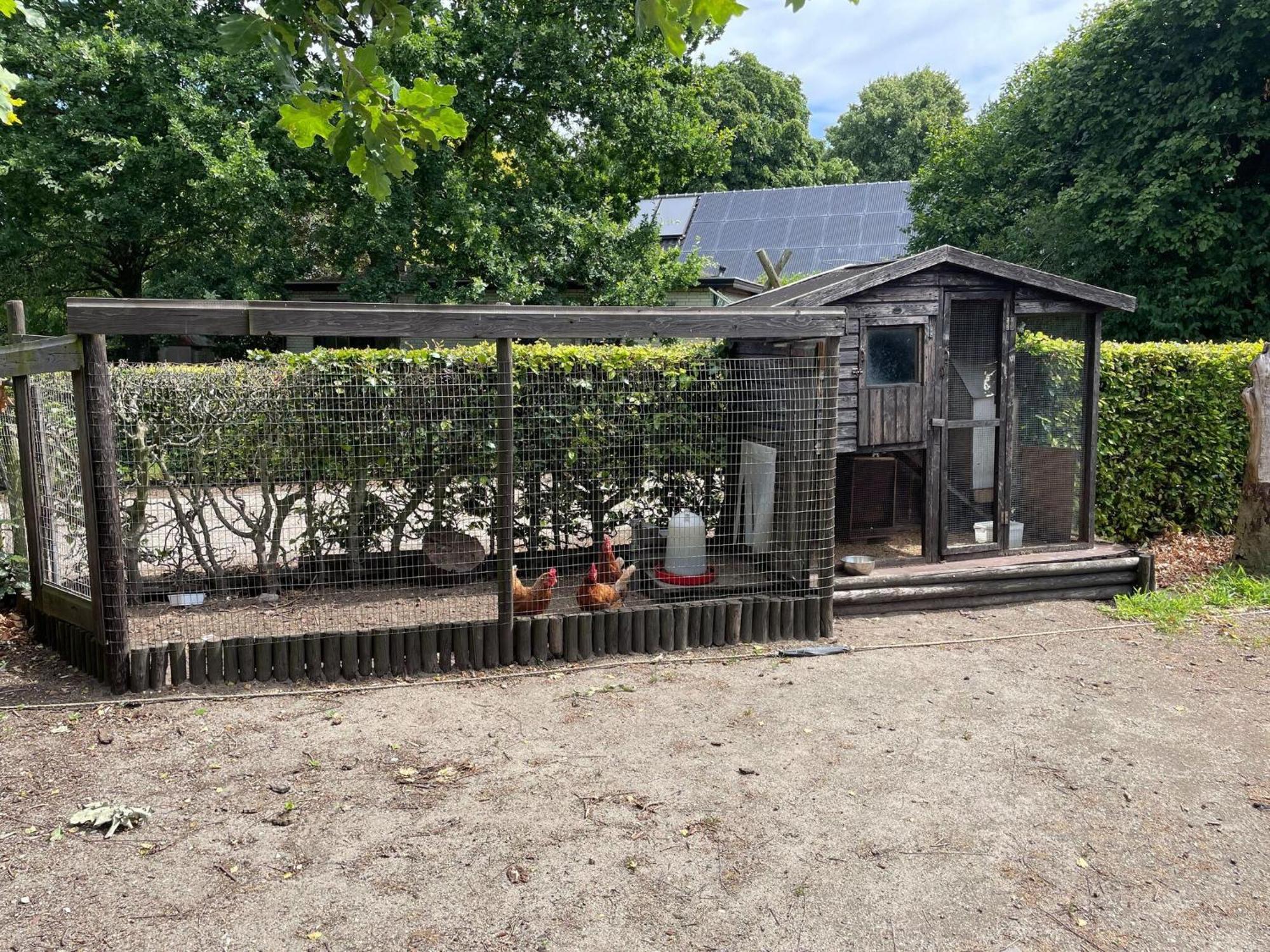 Completely Renovated Back Part Of A Farm Villa Uden Eksteriør billede